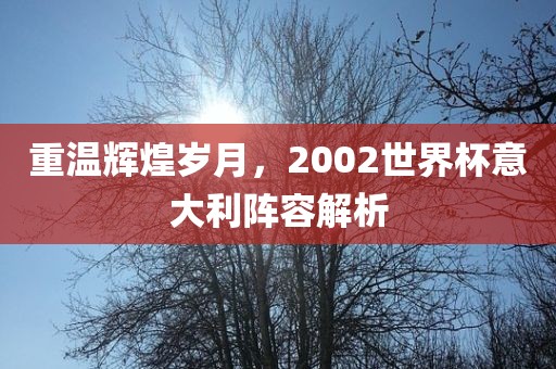 重温辉煌岁月，2002世界杯意大利阵容解析