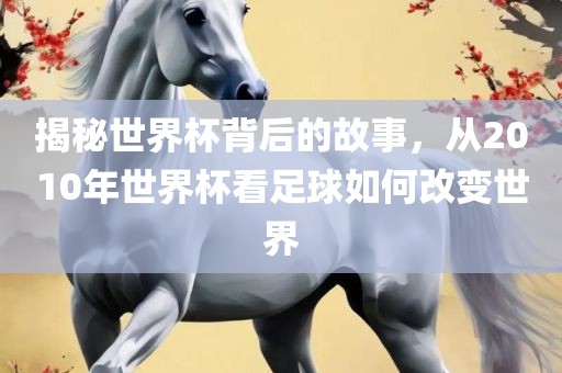 揭秘世界杯背后的故事，从2010年世界杯看足球如何改变世界