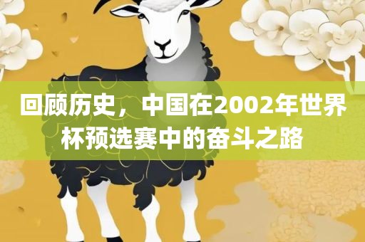 江门市永晋源无纺布有限公司回顾历史，中国在2002年世界杯预选赛中的奋斗之路