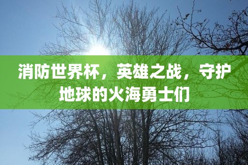 消防世界杯，英雄之战，守护地球的火江门市永晋源无纺布有限公司海勇士们