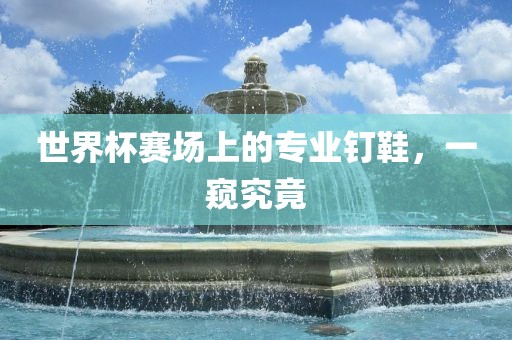 世界杯赛场上的专业钉鞋，一窥究竟