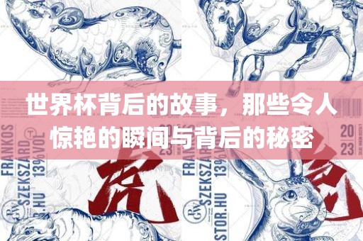世界杯背后的故事，那些令人惊艳的瞬间与背后的秘密