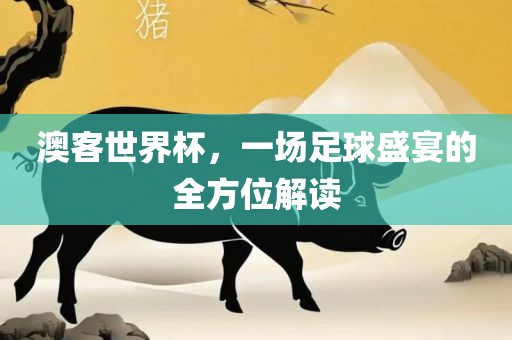 澳客世界杯，一场足球盛宴的全方位解读