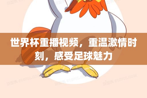 世界杯重播视频，重温激情时刻，感受足球魅力