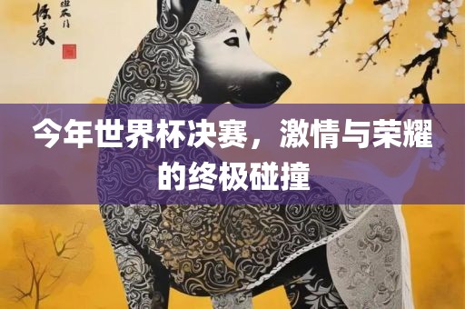 今年世界杯决赛，激情与荣耀的终极碰撞