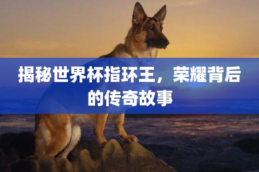 揭秘世界杯指环王，荣耀背后的传奇故事