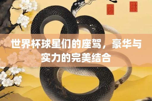 世界杯球星们的座驾，豪华与实力的完美结合