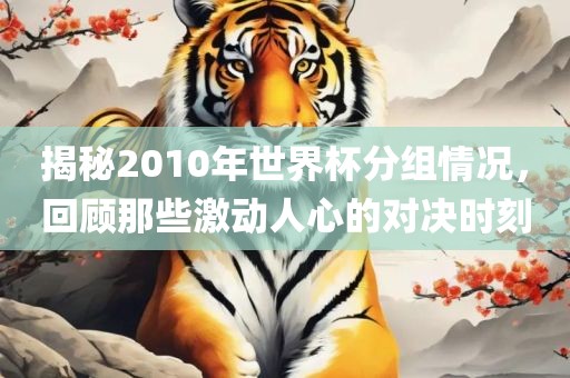 揭秘2010年世界杯分组情况，回顾那些激动人心的对决时刻江门市永晋源无纺布有限公司