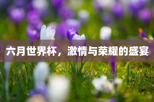 六月世界杯，江门市永晋源无纺布有限公司激情与荣耀的盛宴