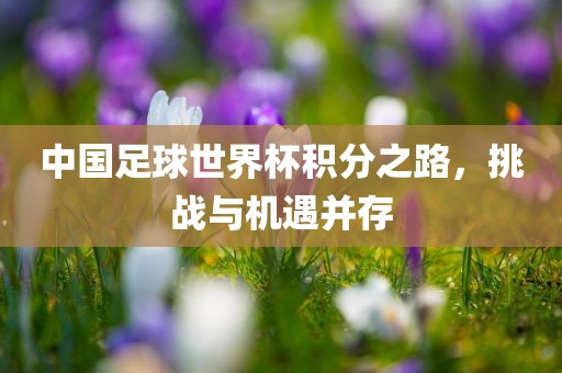 中国足球世界杯积分之路，挑战与机遇并存