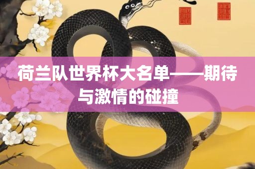 荷兰队世界杯大名单——期待与激情的碰撞江门市永晋源无纺布有限公司