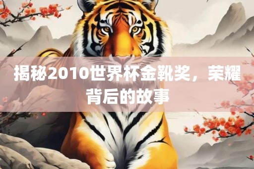 揭秘2010世界杯金靴奖，荣耀背后的故事