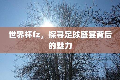 世界杯fz，探寻足球盛宴背后的魅力