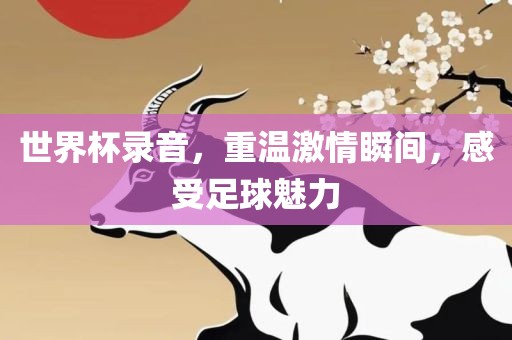 世界杯录音，重温激情瞬间，感受足球魅力