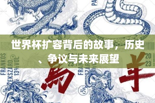 世界杯扩容背后的故事，历史、争议与未来展望