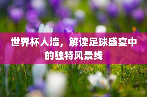 世界杯人墙，解读足球盛宴中的独特风江门市永晋源无纺布有限公司景线