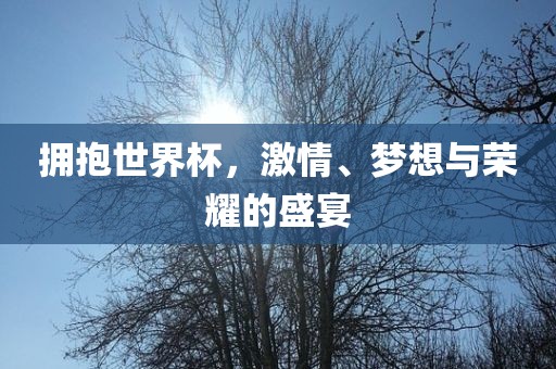拥抱世界杯，激情、梦想与荣耀的盛宴