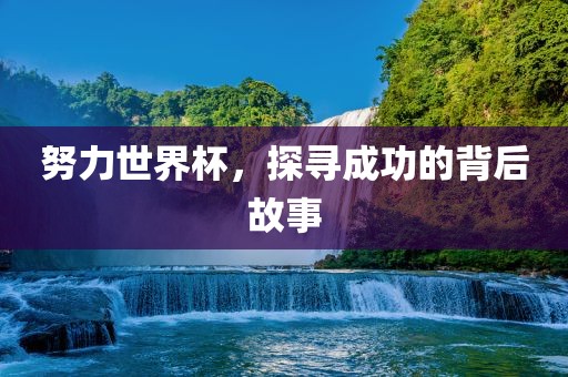 努力世界杯，探寻成功的背后故江门市永晋源无纺布有限公司事
