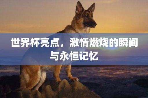 世界杯亮点，激情燃烧的瞬间与永恒记忆