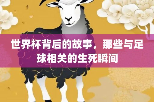 世界杯背后的故事，那些与足球相关的生死瞬间