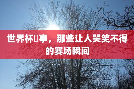 赛场瞬间