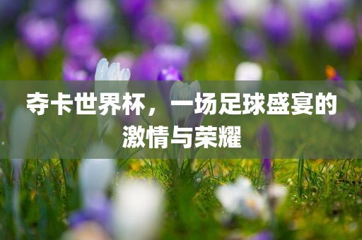 ruyue 第4页