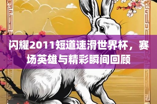 闪耀2011短道速滑世界杯，赛场英雄与精彩瞬间回顾