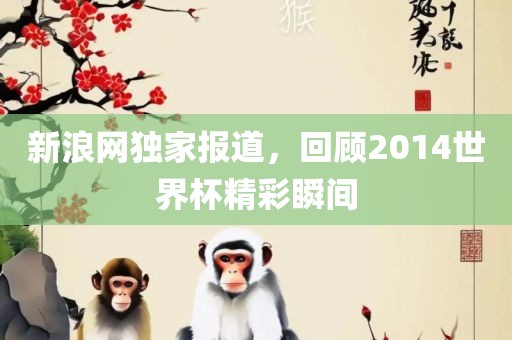 新浪网独家报道，回顾2014世界杯精彩瞬间