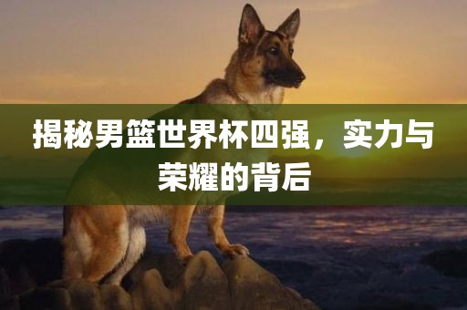 揭秘男篮世界杯四强，实力与荣耀的背后