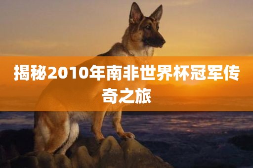 揭秘2010年南非世界杯冠军传奇之旅