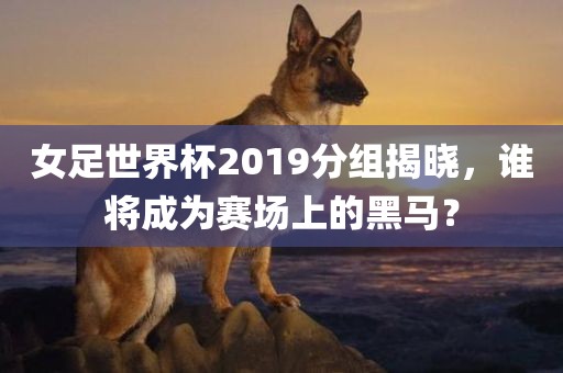 女足世界杯2019分组揭晓，谁将成为赛场上的黑马？