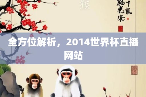 全方位解析，2014世界杯直播网站