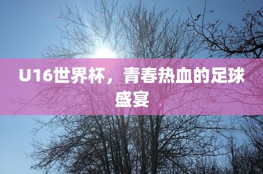 U16世界杯，青春热血的足球盛宴