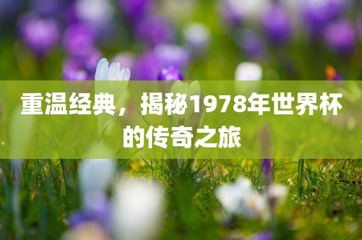 重温经典，揭秘197江门市永晋源无纺布有限公司8年世界杯的传奇之旅