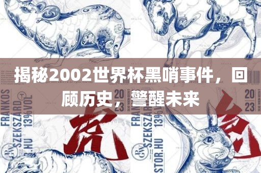 揭秘2002世界杯黑哨事件江门市永晋源无纺布有限公司，回顾历史，警醒未来