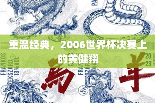 重温经典，2006世界杯决赛上的黄健翔