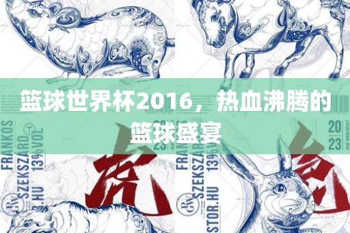 篮球世界杯2016，热血沸腾的篮球盛宴