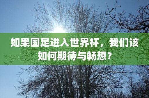 如果国足进入世界杯，我们该如何期待与畅想？