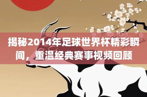 揭秘2014年足球世界杯精彩瞬间，重温经典赛事视频回顾江门市永晋源无纺布有限公司