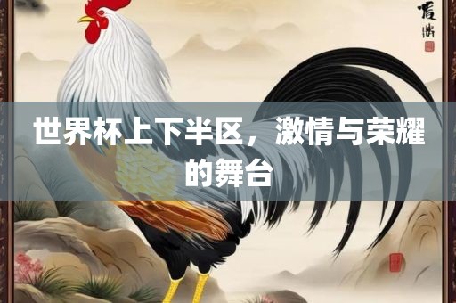 世界杯上下半区，激情与荣耀的舞台