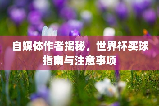 自媒体作者揭秘，世界杯买球指南与注意事项