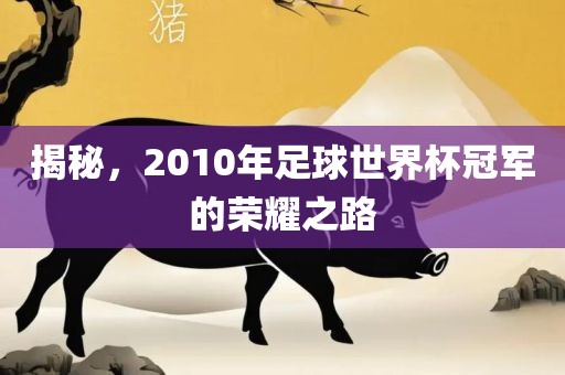 揭秘，2010年足球世界杯冠军的荣耀之路江门市永晋源无纺布有限公司