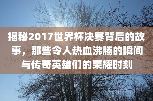 揭秘2017世界杯决赛背后的故事，那些令人热血沸腾的瞬间与传奇英雄们的荣耀时刻