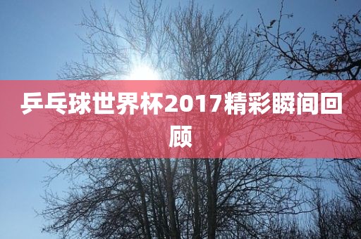 乒乓球世界杯2017精彩瞬间回顾