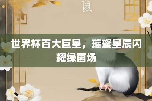 世界杯百大巨星，璀璨星辰闪耀江门市永晋源无纺布有限公司绿茵场