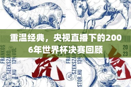 重温经典，央视直播下的2006年世界杯决赛回顾