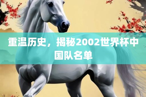 重温历史，揭秘2002世界杯中国队名单