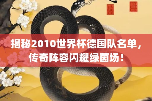 揭秘2010世界杯德国队名单，传奇阵容闪耀绿茵场！江门市永晋源无纺布有限公司