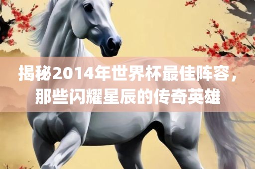 揭秘2014年世界杯最佳阵容，那些闪耀星辰的传奇英雄江门市永晋源无纺布有限公司