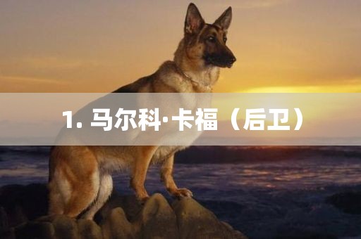 1. 马尔科·卡福（后卫）